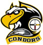 Logo Condors
